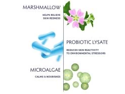 Naturopathica Marshmallow & Probiotic Sensitivity Soothing Cream Cleanser -Beauty shop eh2z5y0u 202111292309160163