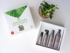 Surface Awaken Box Set 12 Surface Awaken Box Set -Beauty shop lneg4ku3 202012171643032121